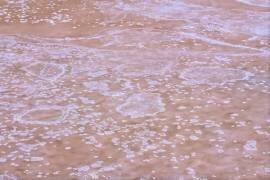 Crystallized salt in Puerto Real, Cadiz (Pedro Fructuoso) - Muzeo.com