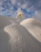 Curves of a winter landscape (Ales Krivec) - Muzeo.com