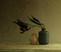 Dark matter (Margaret Halaby) - Muzeo.com