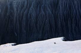 Deep In Canyon (BJ Yang) - Muzeo.com
