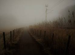 Deeply into the fog (Kremena Nikolaeva) - Muzeo.com