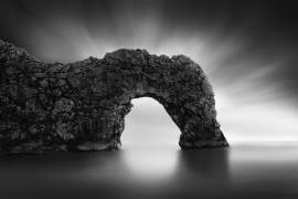 Dinosaur on the Beach II (George Digalakis) - Muzeo.com