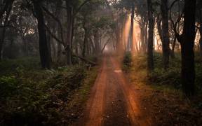 Dudhxwa Sunrise Safari (Shobhit Chawla) - Muzeo.com