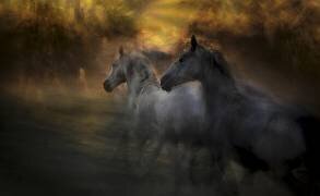 Duel (Milan Malovrh) - Muzeo.com