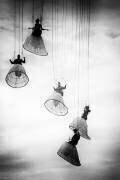 Dutch angels (Julien Oncete) - Muzeo.com