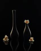 Elegant orchid (Louie Luo) - Muzeo.com