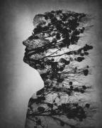 Essence of life (Dusan Macko) - Muzeo.com