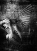 Exile (Jeffrey Hummel ) - Muzeo.com