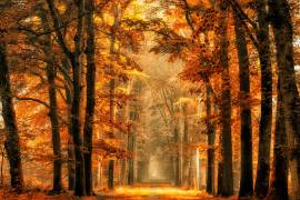 Exit the Portal (Lars van de Wiel) - Muzeo.com