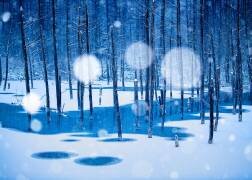 Fairyland (Hidenori Sono) - Muzeo.com