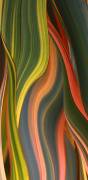 Fall into winter (Robin Wechsler) - Muzeo.com