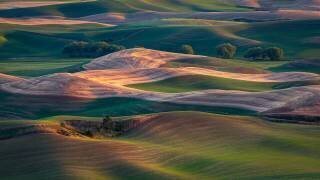 Farmland at sunset (Dennis Zhang) - Muzeo.com