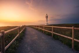 Faro de ajo (Ivan Ferrero) - Muzeo.com