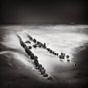 February Fog (Ronny Behnert) - Muzeo.com