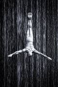 Fine diving (Martin Fleckenstein) - Muzeo.com