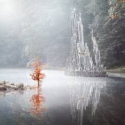 Flames (Ronny Behnert) - Muzeo.com