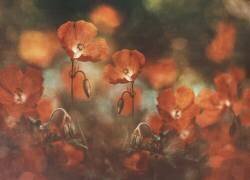 Floral art in red (Nikki Georgieva V) - Muzeo.com