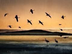 Fly-in at Sunset (Shenshen Dou) - Muzeo.com