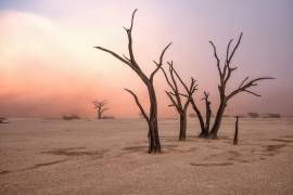Fog in deadvlei (Giuseppe Damico) - Muzeo.com