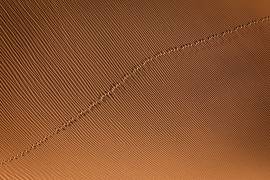 Footprint (Mohammadreza Momeni) - Muzeo.com