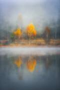 Frame of Autumn (Anghel Rusu) - Muzeo.com