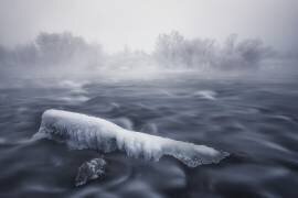 Frozen trunk (Tom Meier) - Muzeo.com