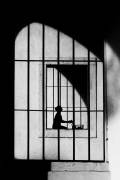 Gabbie (Massimo Della Latta) - Muzeo.com