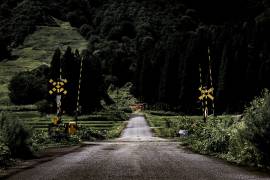 Gate to the sanctuary (Yuusuke Hisamitsu) - Muzeo.com