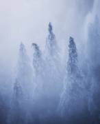 Ghosts (Ales Krivec) - Muzeo.com