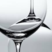 Glass (Hejha) - Muzeo.com