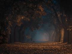 Go deeper and go straight ahead (Krzysztof Tollas) - Muzeo.com