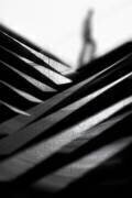 Going Nowhere Fast (Paulo Abrantes ) - Muzeo.com