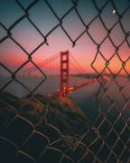 Golden Gate Caged (David George) - Muzeo.com