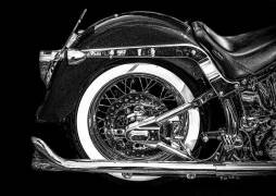 Harley (Laruelle Philippe) - Muzeo.com