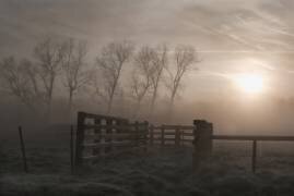 Hazy morning symphony (Yvette Depaepe) - Muzeo.com