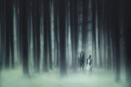 He had forest fairy (Stanislav Hricko) - Muzeo.com