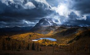 Healy Pass Golden Time (Yongnan Li) - Muzeo.com