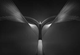 Heart of steel (Ahmed Thabet) - Muzeo.com