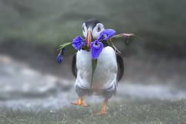 Honey, I love you (Larry Deng) - Muzeo.com