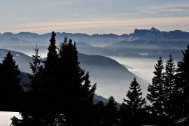 IMG_4348_DXO_raw (Jérôme Prince) - Muzeo.com