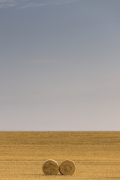 Infinity (Tony Goran) - Muzeo.com