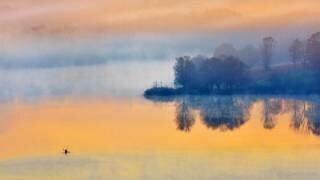 Into the autumn morning (Eric Zhang) - Muzeo.com