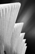 Ivory Gates (Michiel Hageman ) - Muzeo.com