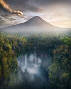Jurassic World (Fikri Muharram) - Muzeo.com