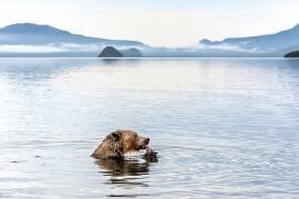 Kurile Lake (Giuseppe Damico) - Muzeo.com