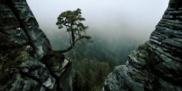 /\\-l /\\ (Andreas Schott) - Muzeo.com