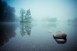 Laguna Morning (Robert Adamec ) - Muzeo.com