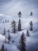 Last light (Ales Krivec) - Muzeo.com
