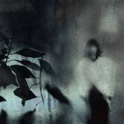 Last sad portrait (Teruhiko Tsuchida) - Muzeo.com