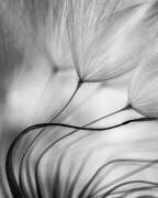 Lean on me (Keren Or) - Muzeo.com